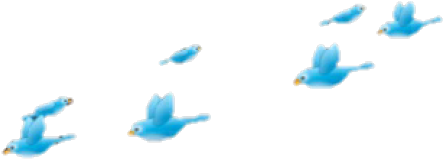 Aesthetic Clipart Tumblr Transparent Overlay - Passaros Png (640x480), Png Download