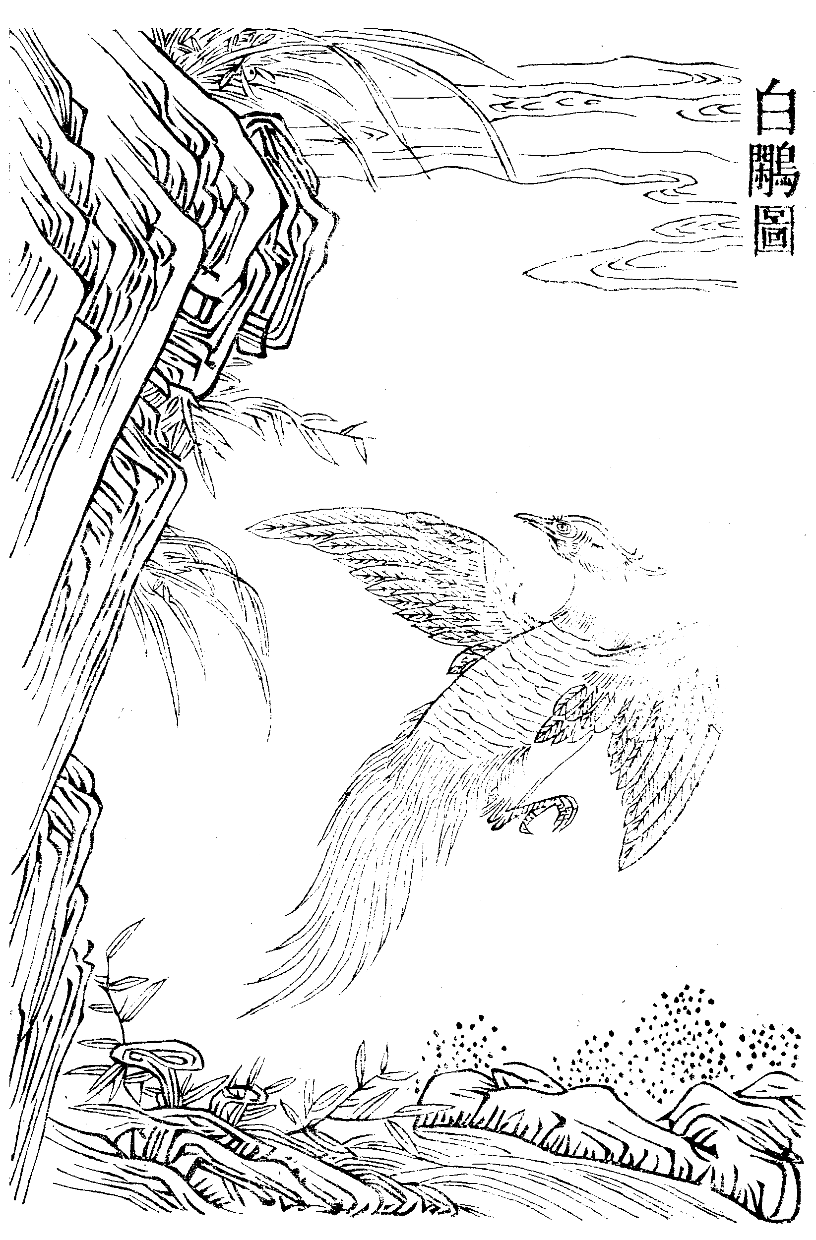 File - Imperial Encyclopaedia - Animal Kingdom - Pic048 - Line Art (1645x2501), Png Download