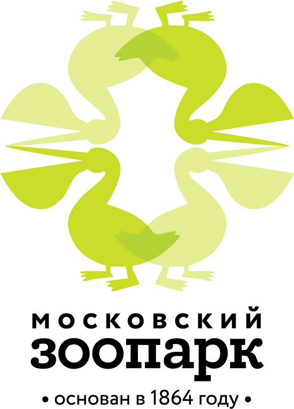 Zoologorus Pelican 03 - Moscow Zoo (1000x1000), Png Download