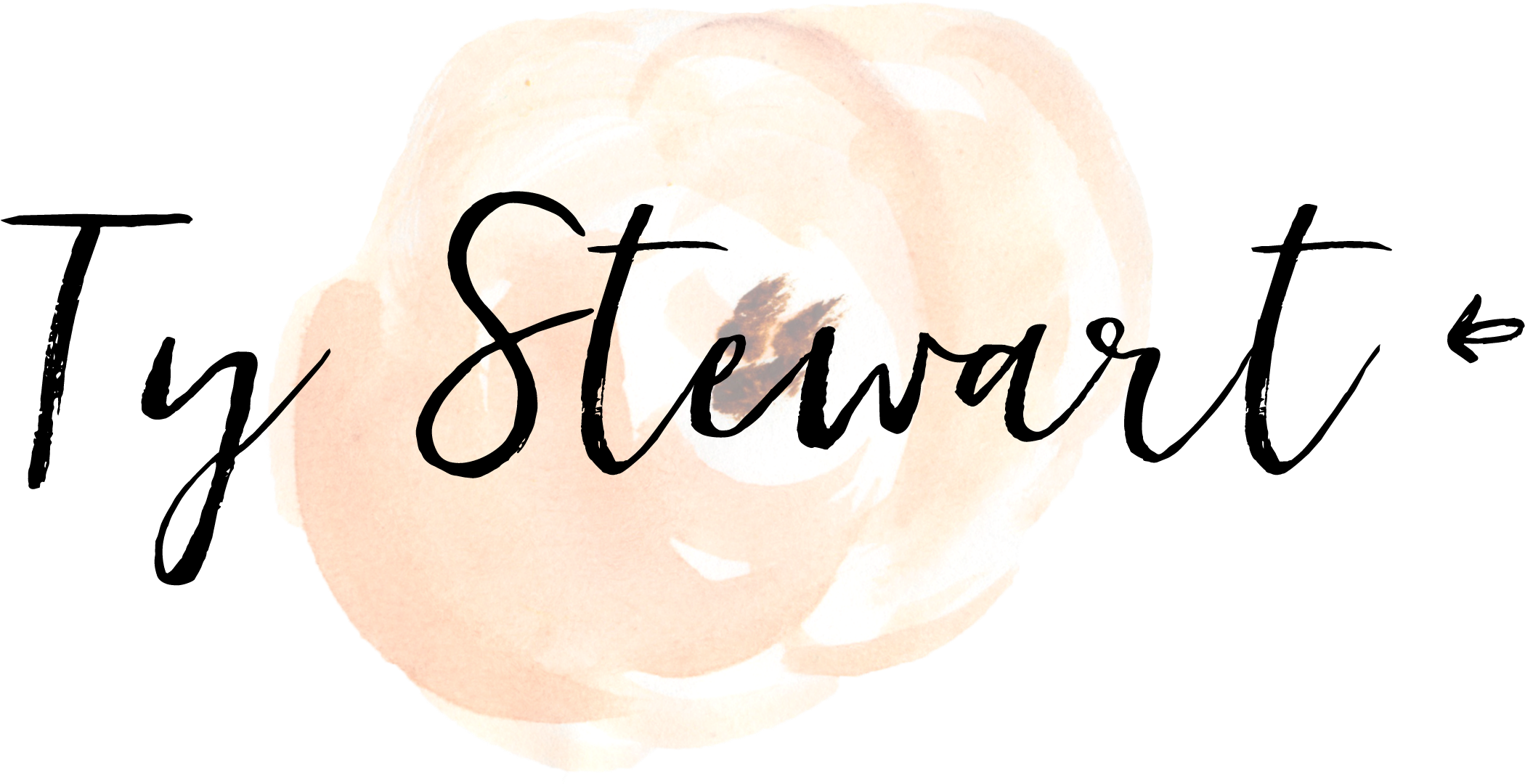 Carrot Wands Save - Health Coaching (2400x1200), Png Download