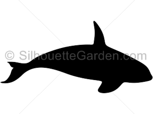 Whale Silhouette - Killer Whale Silhouette (640x480), Png Download