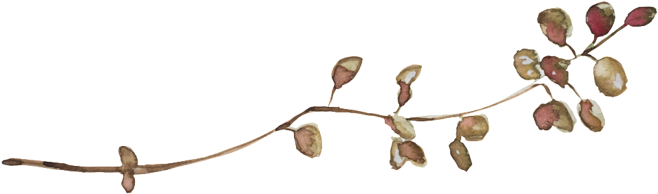 Cute Fresh Small Plant Transparent - Portable Network Graphics (1024x358), Png Download