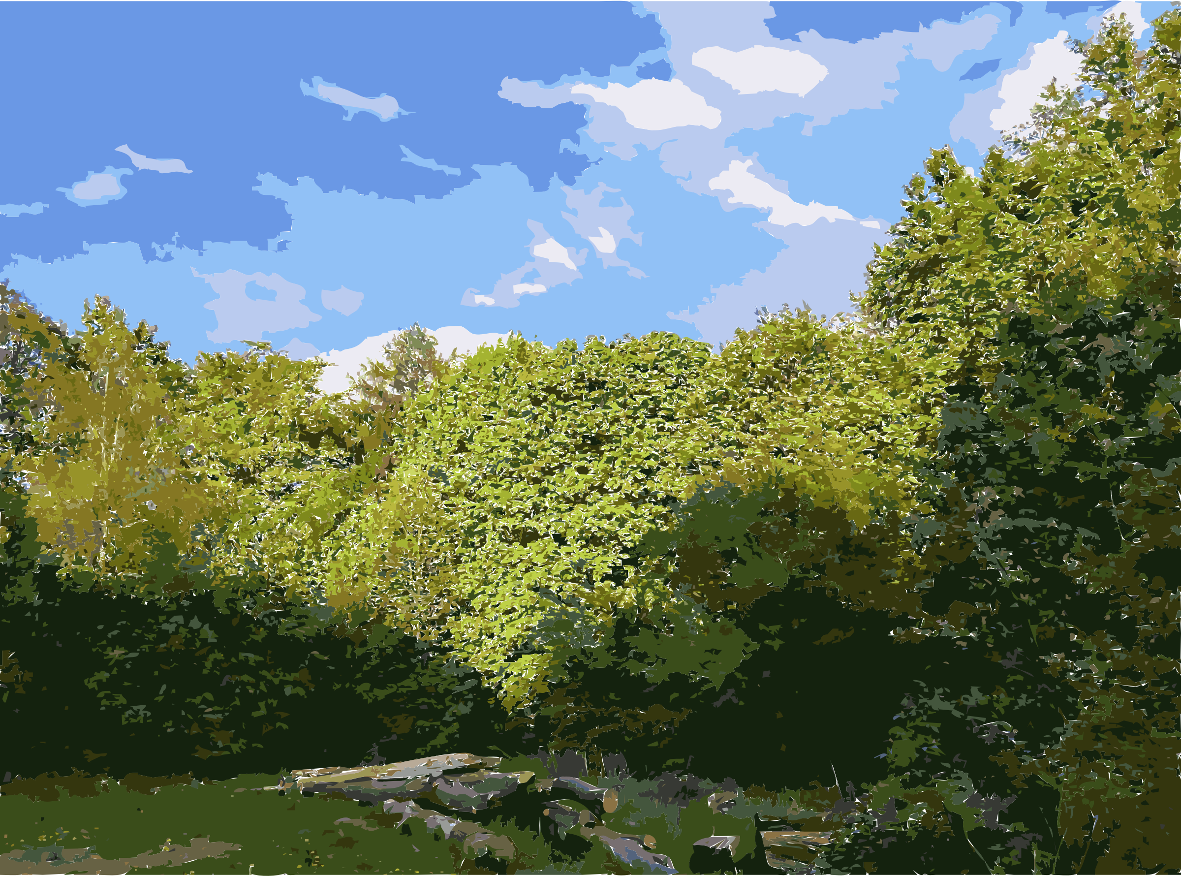 A Small Waterfall In The Forest - Lichtscheid (2400x1780), Png Download