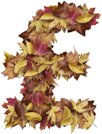 Pound Symbol With Dry Leaves - Pound Sign (866x650), Png Download