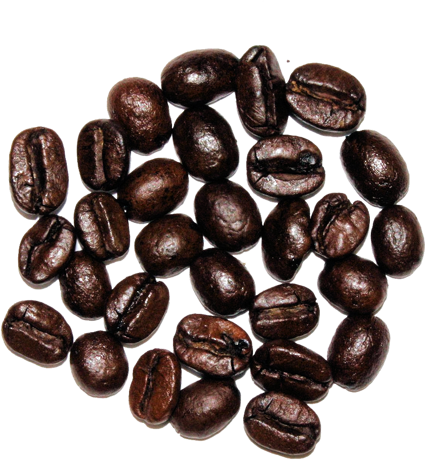 The Cultured Cup® - Seed (1024x1024), Png Download