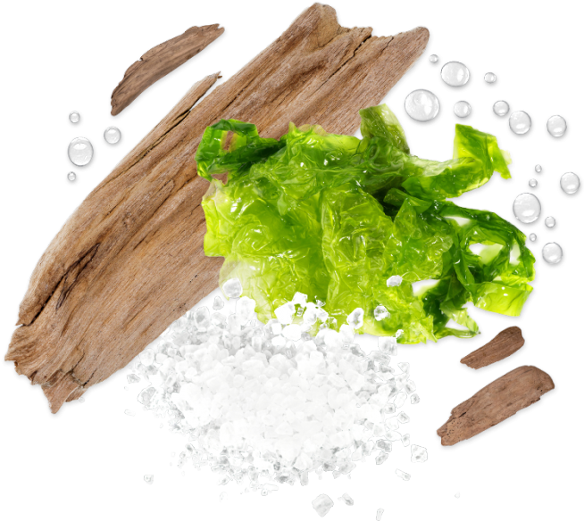 Sea Salt Driftwood Spheres - Driftwood (700x700), Png Download