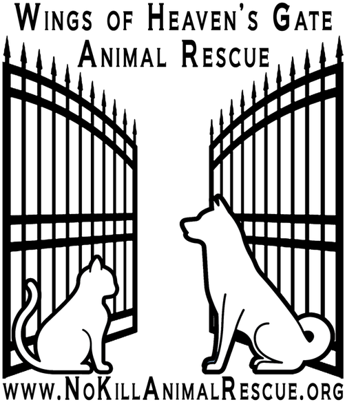 Picture - Heaven's Gate (518x600), Png Download