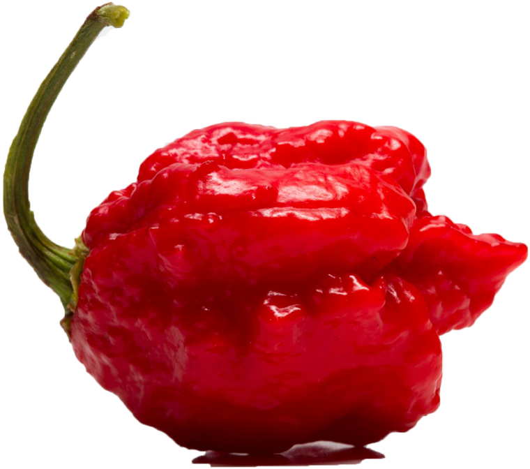 Carolina Reaper Certified Again As Worlds Hottest Chili - Carolina Reaper Pepper Png (1200x800), Png Download