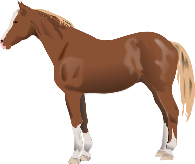 Clip Art Transparent Library Download Clip Art Free - Qui Suis Je Animaux (626x526), Png Download