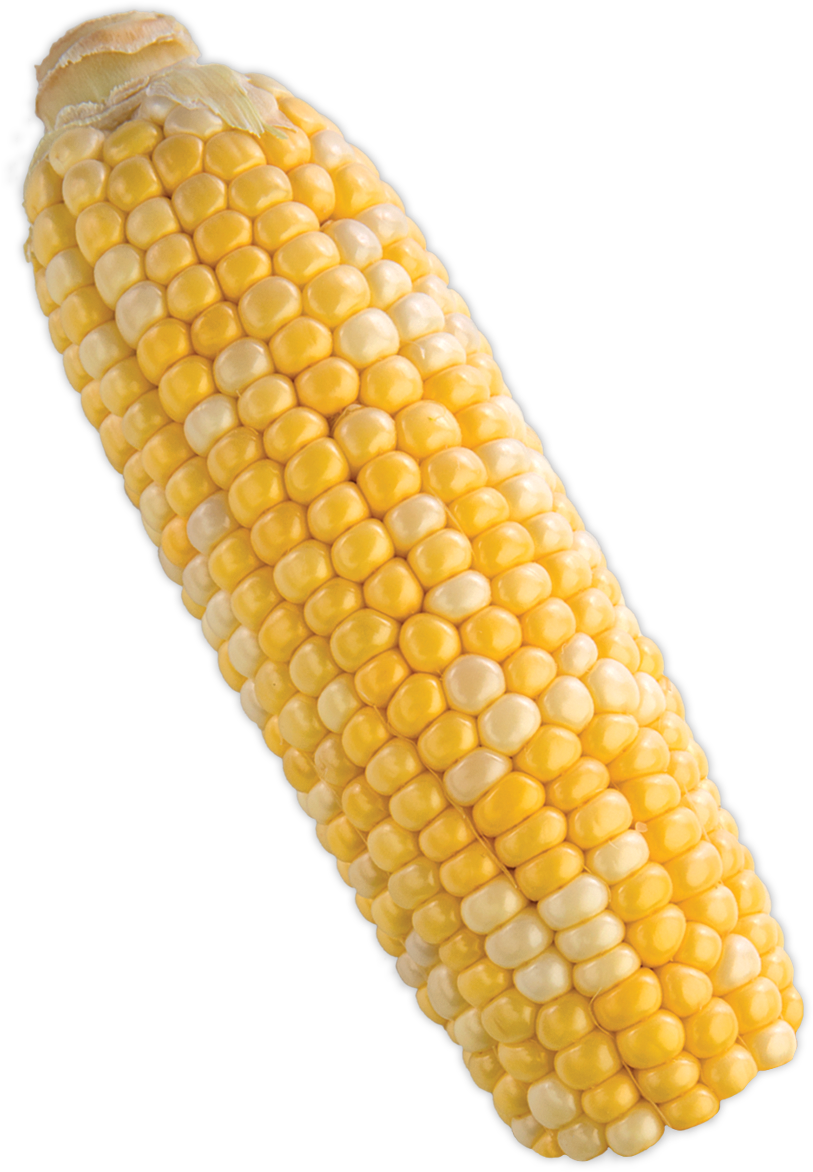Corn Cob Png (1702x2443), Png Download