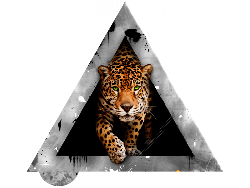Saliendo De La Oscuridad - Carta Da Parati Tigre (1000x1000), Png Download