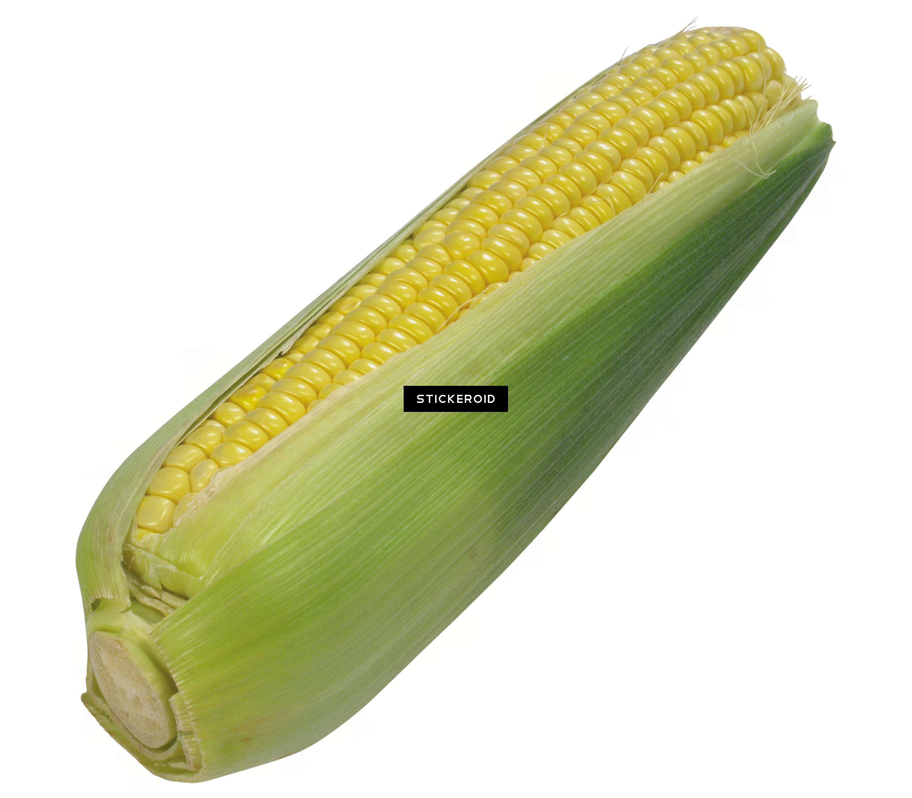 Corn - Corn Kernels (3145x2753), Png Download