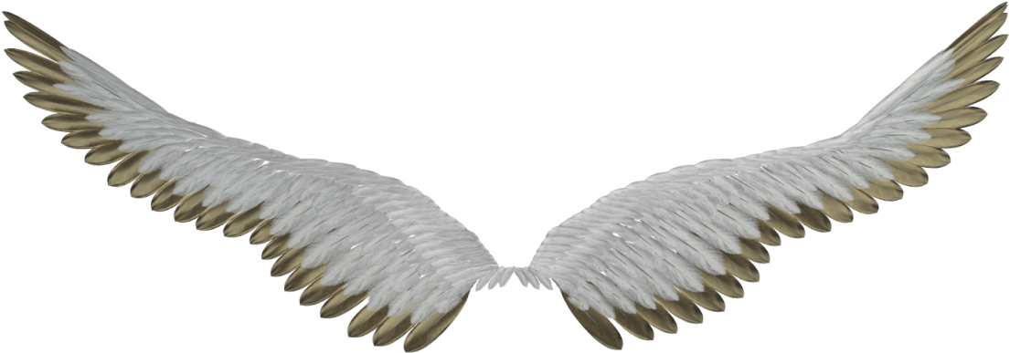 I Place That In There, Play With The Perspective And - Ailes Fond Transparent (1280x621), Png Download