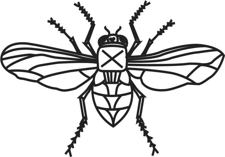 Fly Logo - T-shirt (1153x863), Png Download