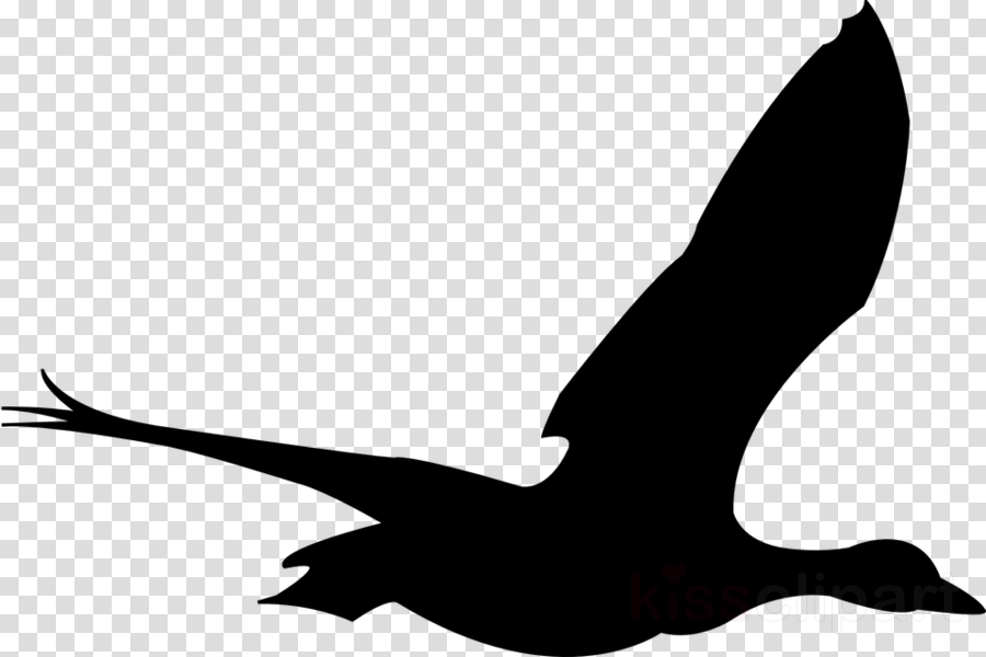 Flying Bird Vector Clipart Bird Goose - Ohio Outline Transparent Background (900x600), Png Download