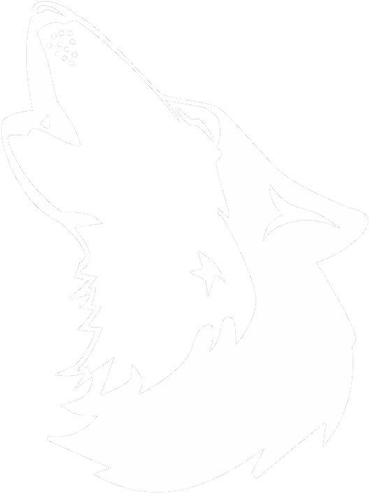 Wilder Wolf Call - Illustration (800x800), Png Download