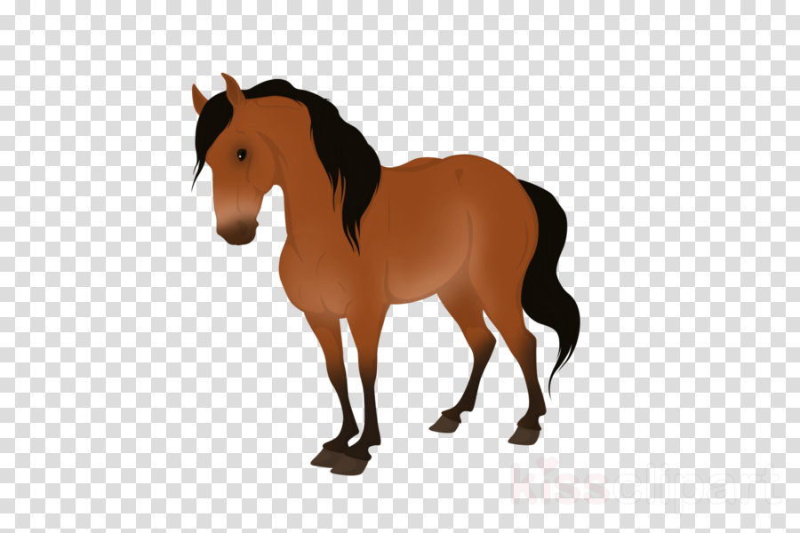 Captain America Shield Png Clipart United States Of - Dart Target Transparent Background (900x600), Png Download