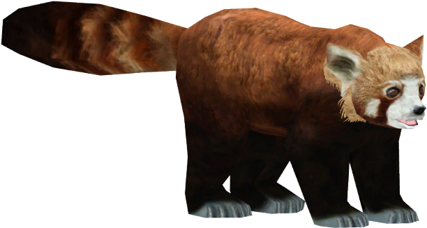 Red Panda Png Transparent Images - Red Panda And Koala (640x480), Png Download