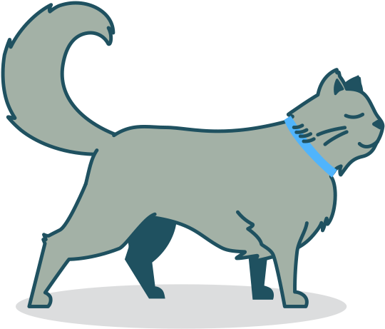 I Have A - Dog Catches Something (640x506), Png Download