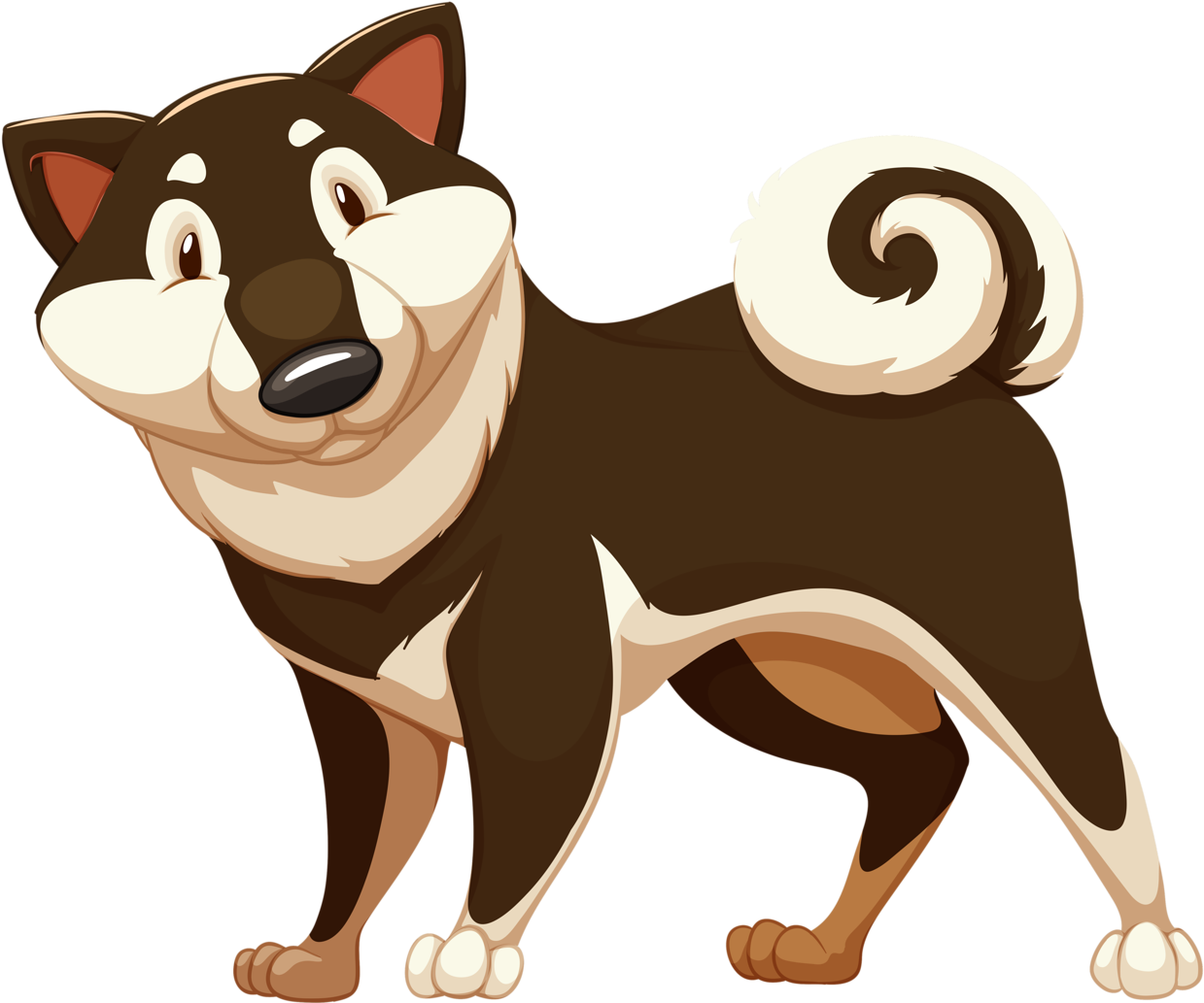 Cães & Gatos Cartoon Cats, Puppy Images, Animals For - Parts Of A Dog And Their Functions (1280x1096), Png Download