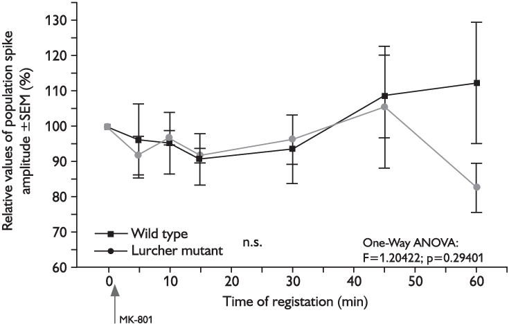 Comparison Of Relative Values Of The Amplitude Size - Diagram (735x468), Png Download