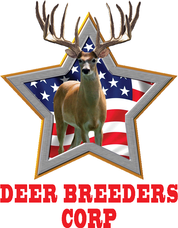 10aca59b Ff7d 481b 8128 29c69907e45e - Deer Breeders Corp (800x900), Png Download