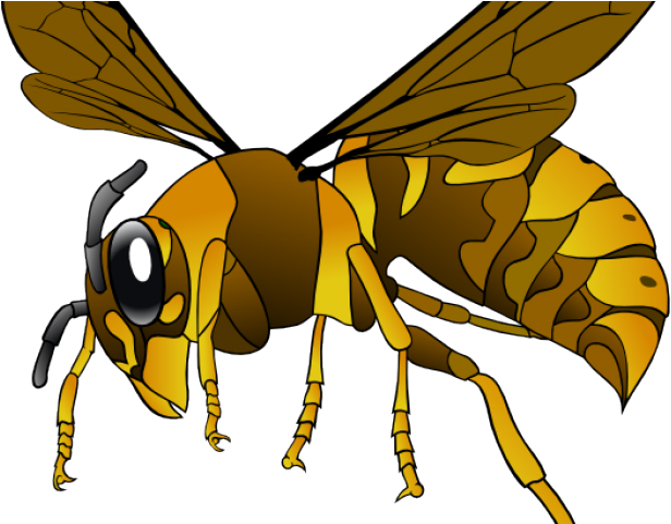 Hornet Clipart Drawn - Hornet Svg (640x480), Png Download