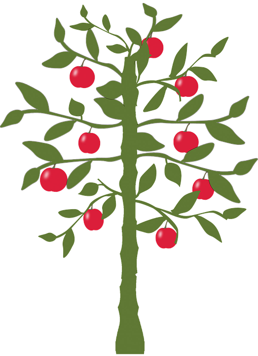 Apple Tree Silhouette - World's Fastest Indian Lemon Tree (523x720), Png Download