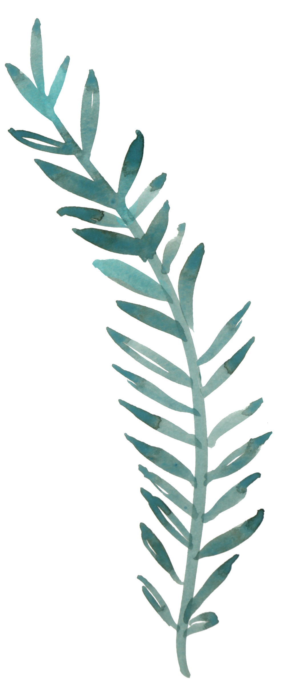 Lush Hand Painted Flowers Transparent Decorative - Painting (1024x2493), Png Download