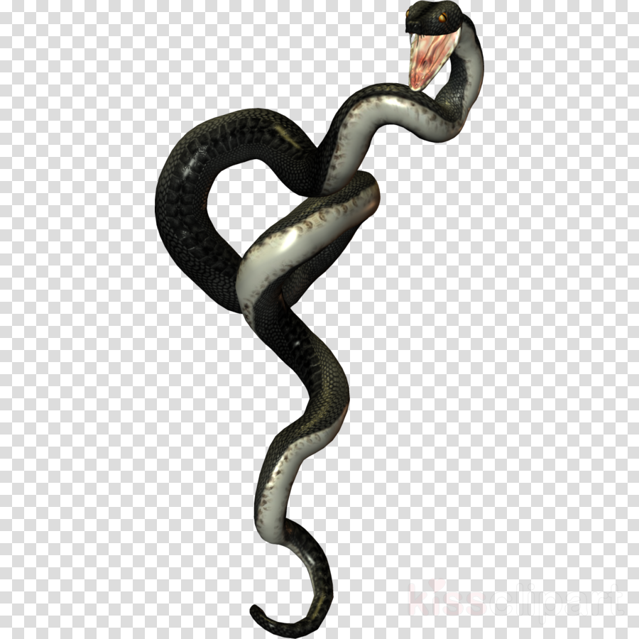 Download Serpientes Png Clipart Snakes Reptile Vipers - Desserts Als Buch Von Edeltraud Willjung (900x900), Png Download