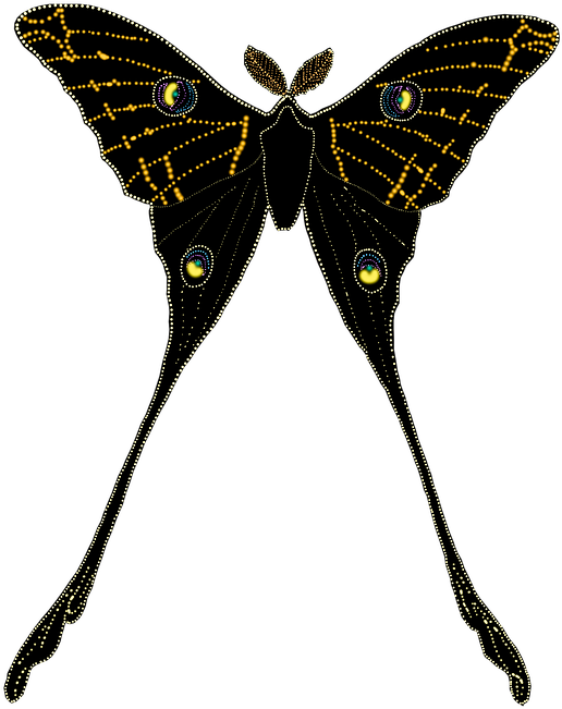 Animal, Butterfly, Insect, Isolated, Silhouette - Butterfly (720x720), Png Download