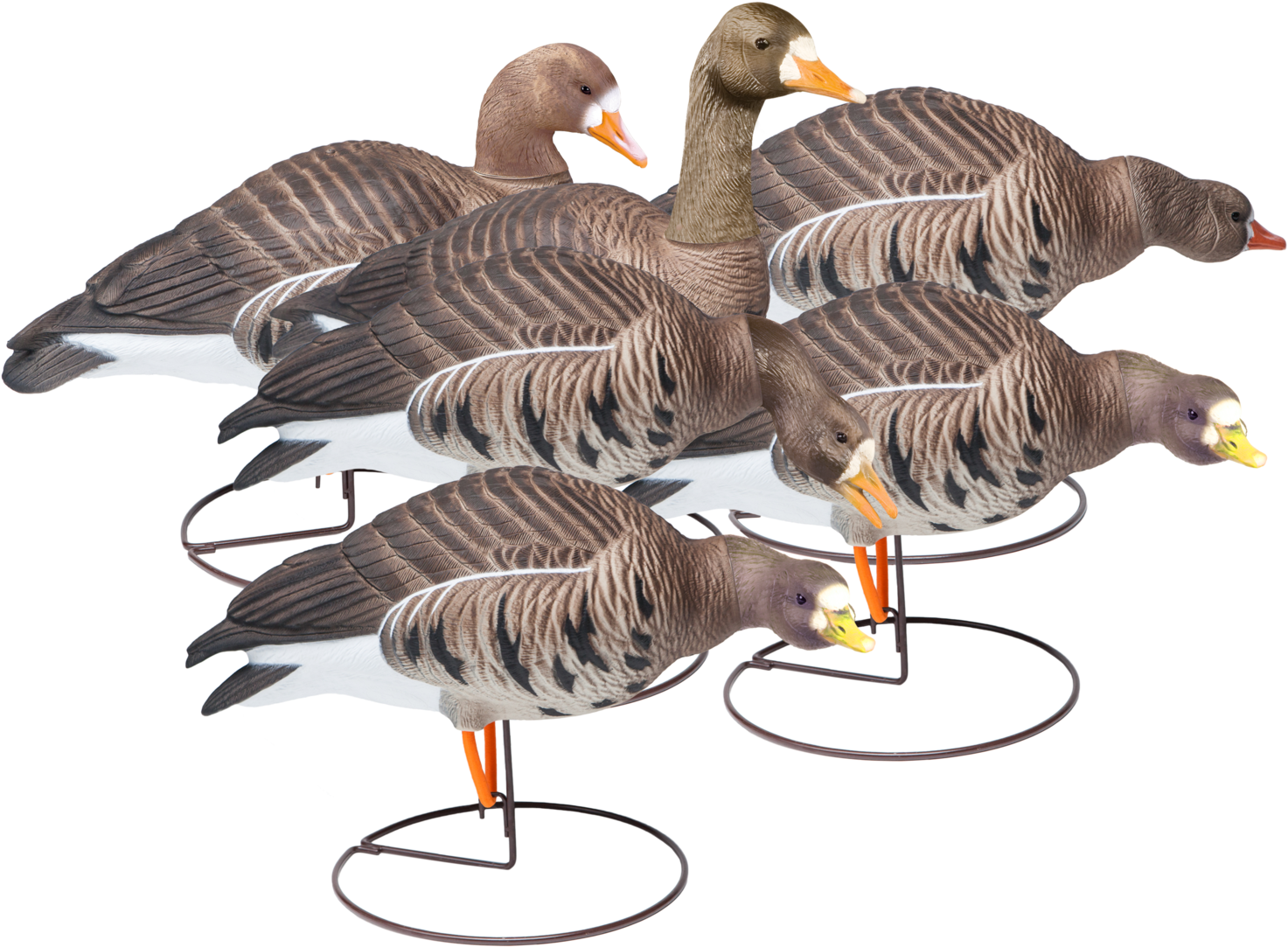 Field Speckle Bellies Six Pack Of Goose Hunting Decoy (2048x1545), Png Download
