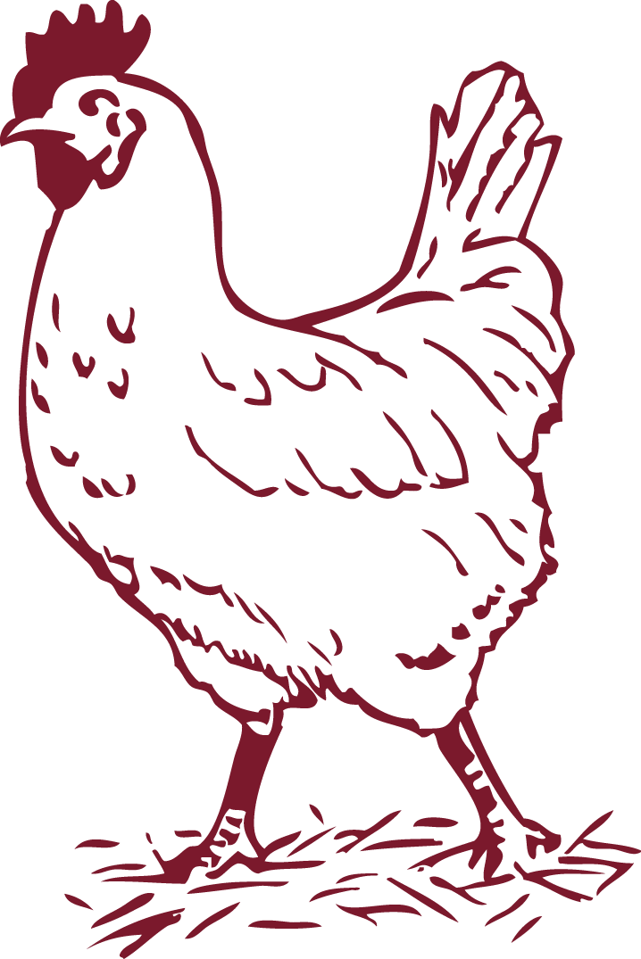 El Sector Del Huevo En Plena Actividad - Animals Cliparts Black And White (718x1075), Png Download