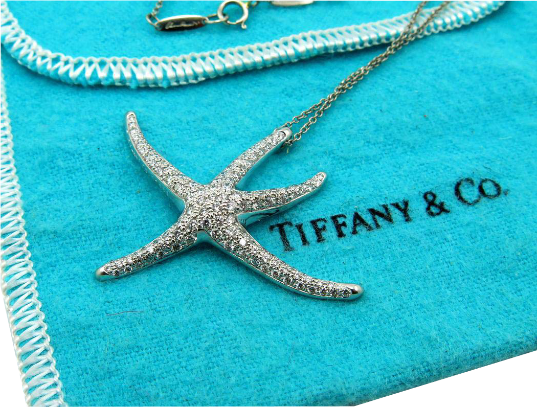 Authentic Tiffany & Co - Necklace (1049x1049), Png Download