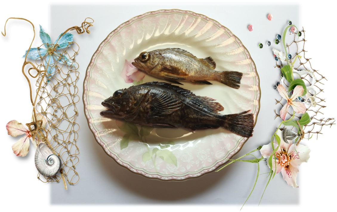 I Thought I'd Show You "cooked Fish" - Html (1130x712), Png Download