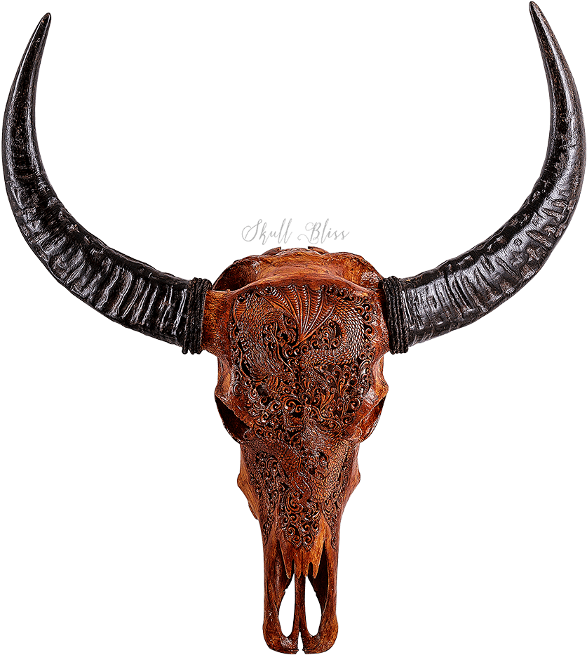 Buffalo Horn Png (1000x1000), Png Download