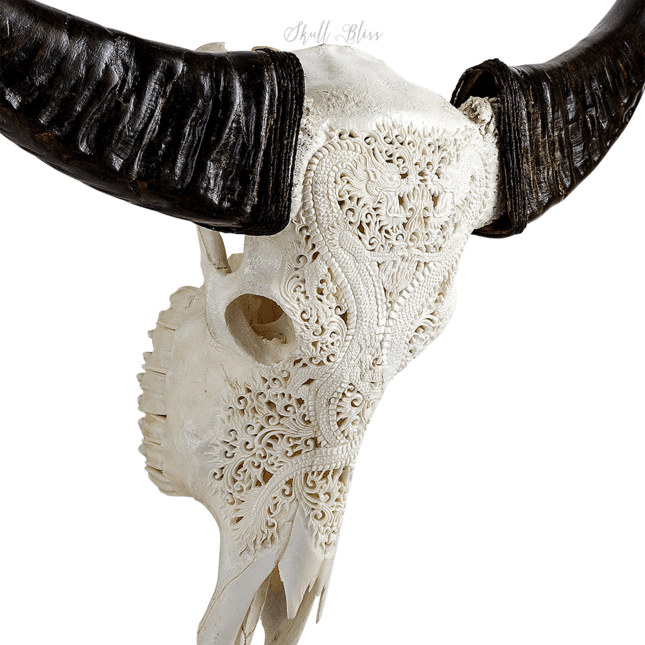 Carved Buffalo Skull - Skull (645x645), Png Download