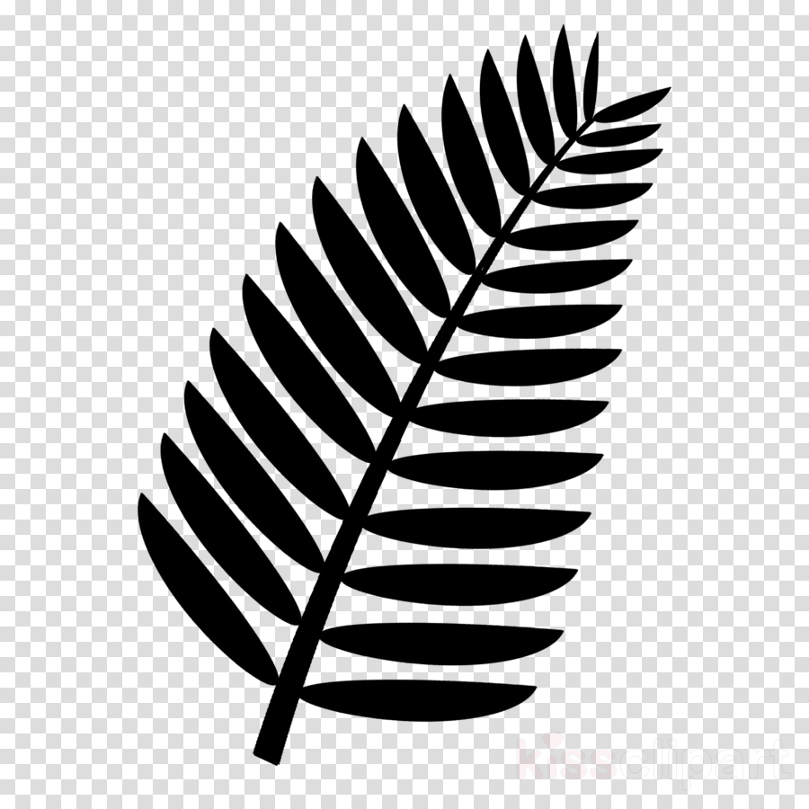 Download Palm Branch Black And White Clipart Palm Branch - Black And White Palm Leaf Clipart (900x900), Png Download
