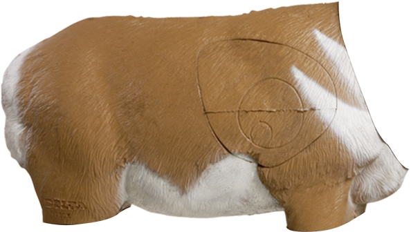 Antelope 3d Archery Target Replacement Body - 3d Archery Target (600x600), Png Download