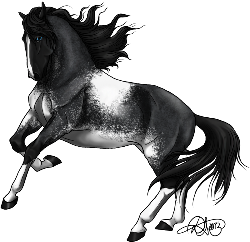 Appearance - Andalusian Horse (818x800), Png Download