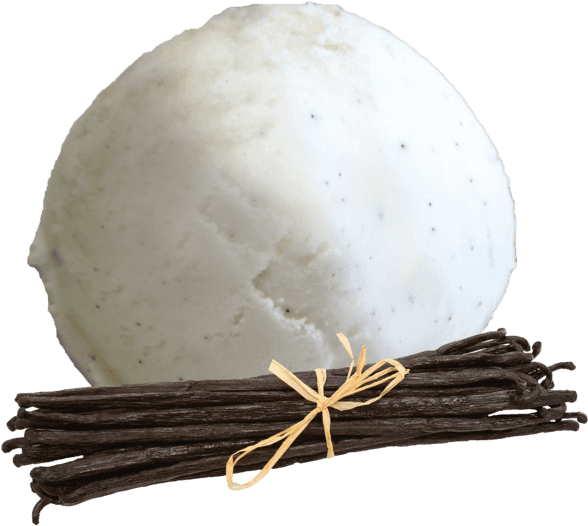 Vanilla Pod - Wood (640x594), Png Download