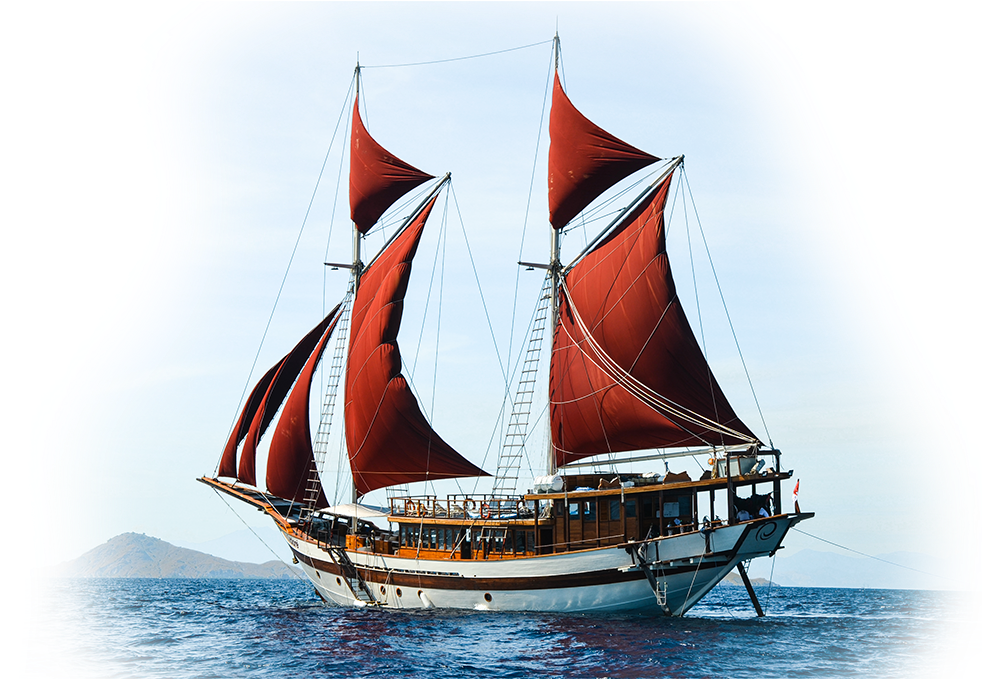 What You Can Expect On Board Tiaré - Tiare Liveaboard Indonesia (1024x678), Png Download