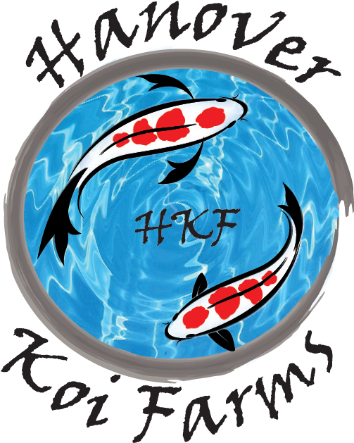 Hanover Koi Farms (546x663), Png Download