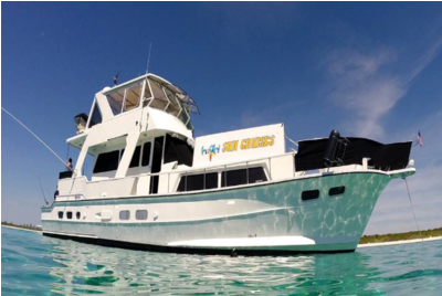 Fast Speed Boat Allows You To See Stingray City And - Yacht (640x640), Png Download