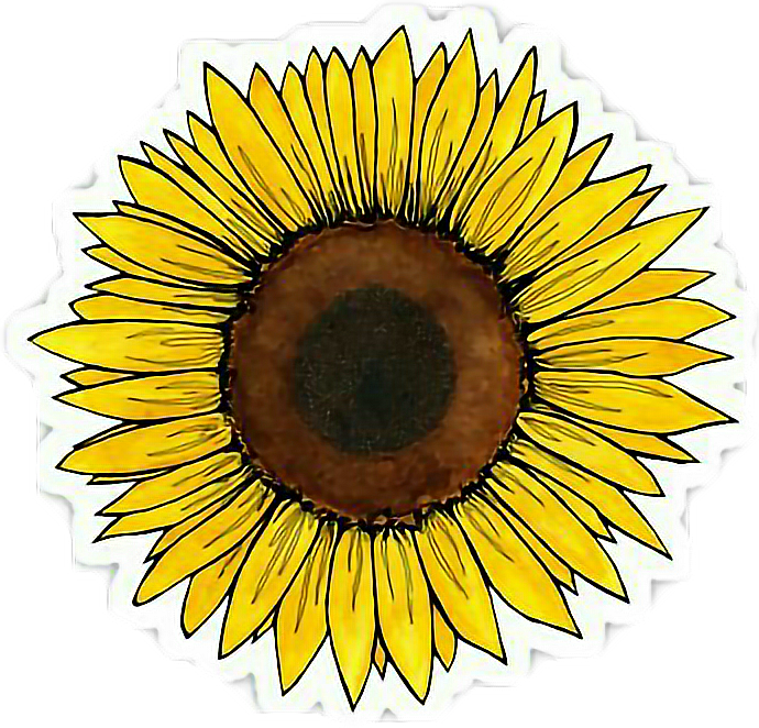 Stickers Cute Rose Yellowflower Brwon - Aesthetic Flower Stickers (690x662), Png Download