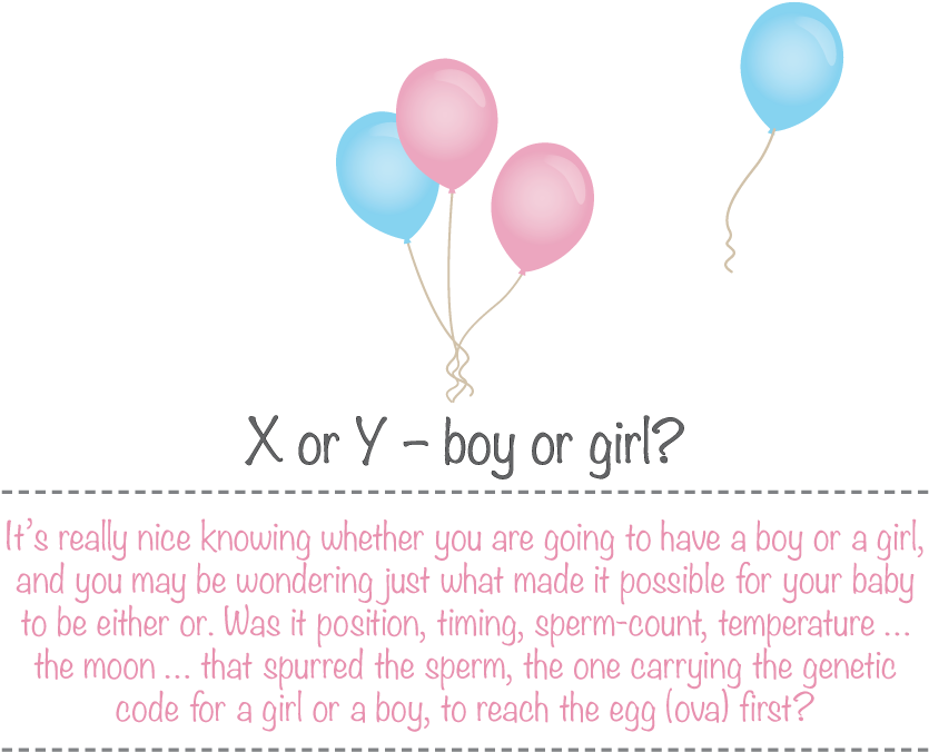 It All Depends On The Cervix The 'mouth' At The Bottom - Balloon (1040x726), Png Download