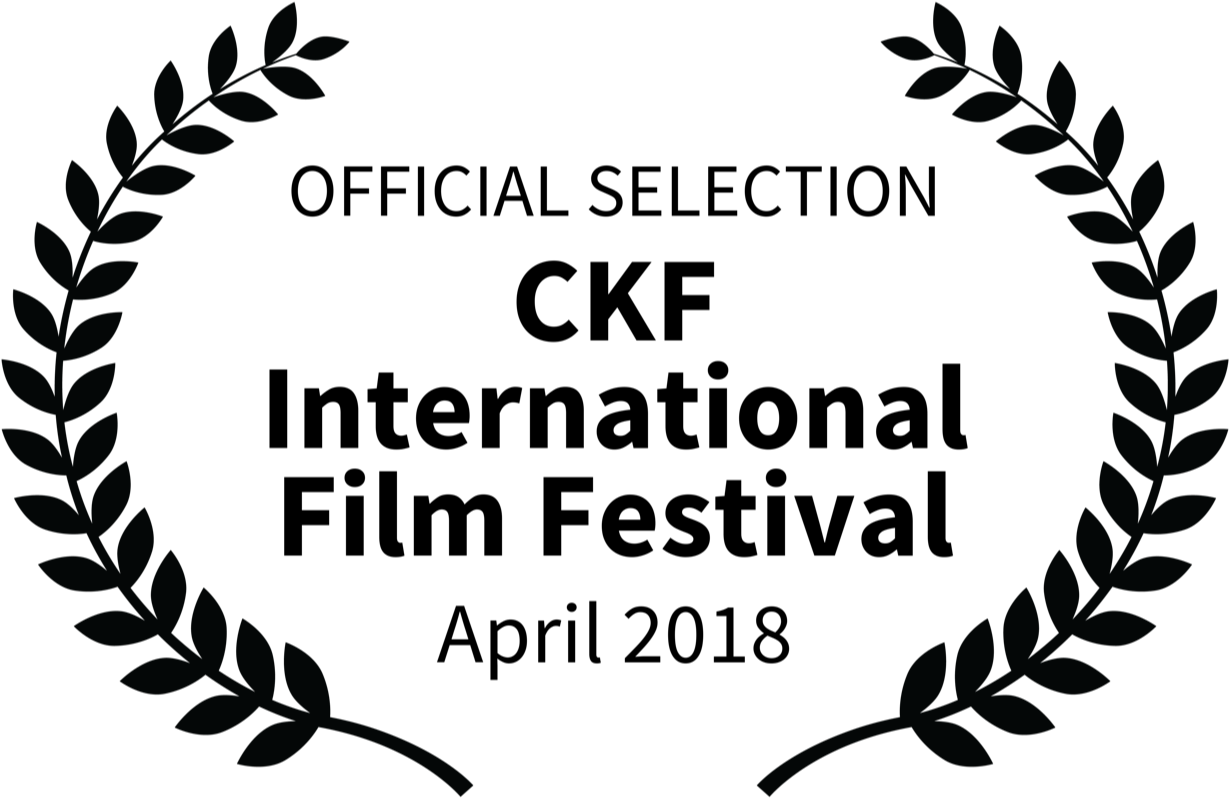 Ckf International Film Festival 2018 Update - Crazy Cat Lady Yard Sign (1280x849), Png Download