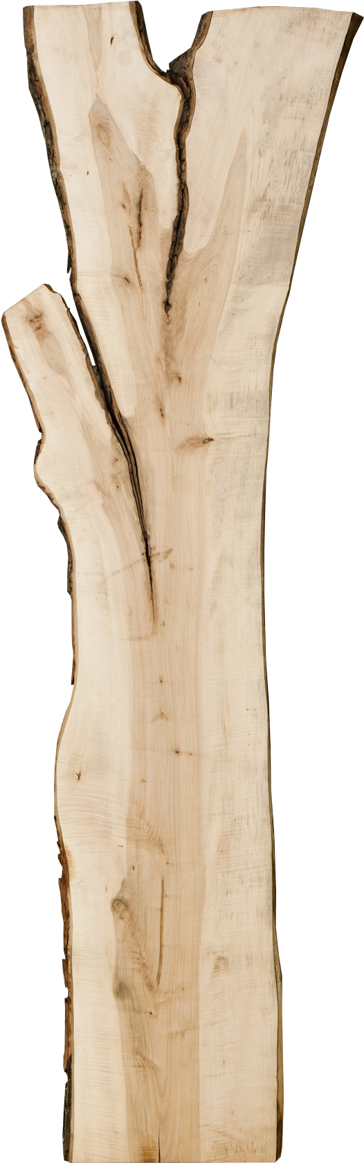 Live Edge Tree - Live Edge (573x1716), Png Download