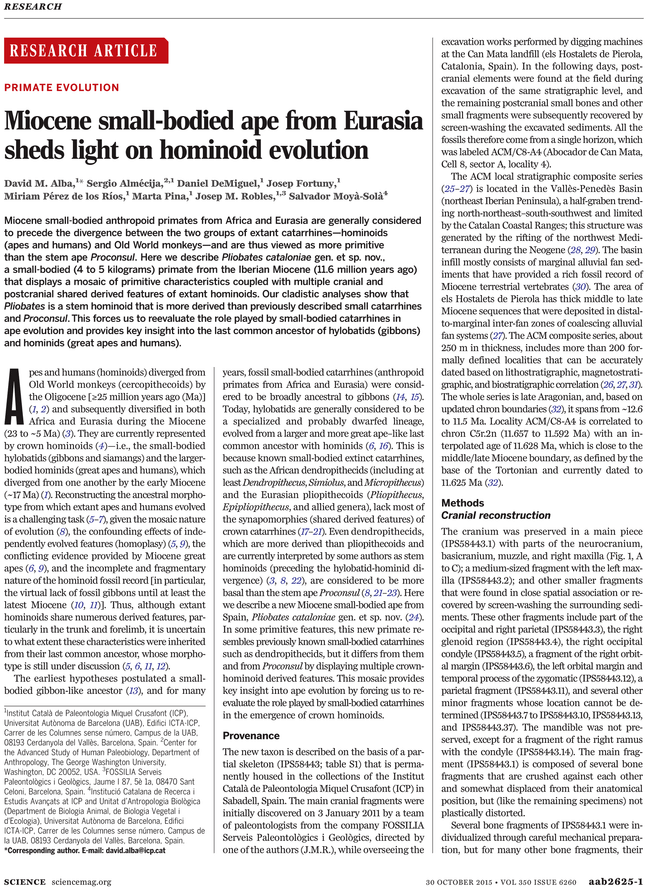 Goose Tower In Vordingborg, Zealand (729x929), Png Download