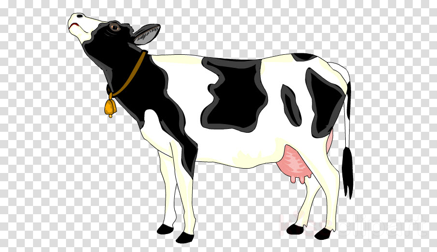 Vaca Png Clipart Dairy Cattle Taurine Cattle Baka - Imagenes De Vacas Png (900x520), Png Download